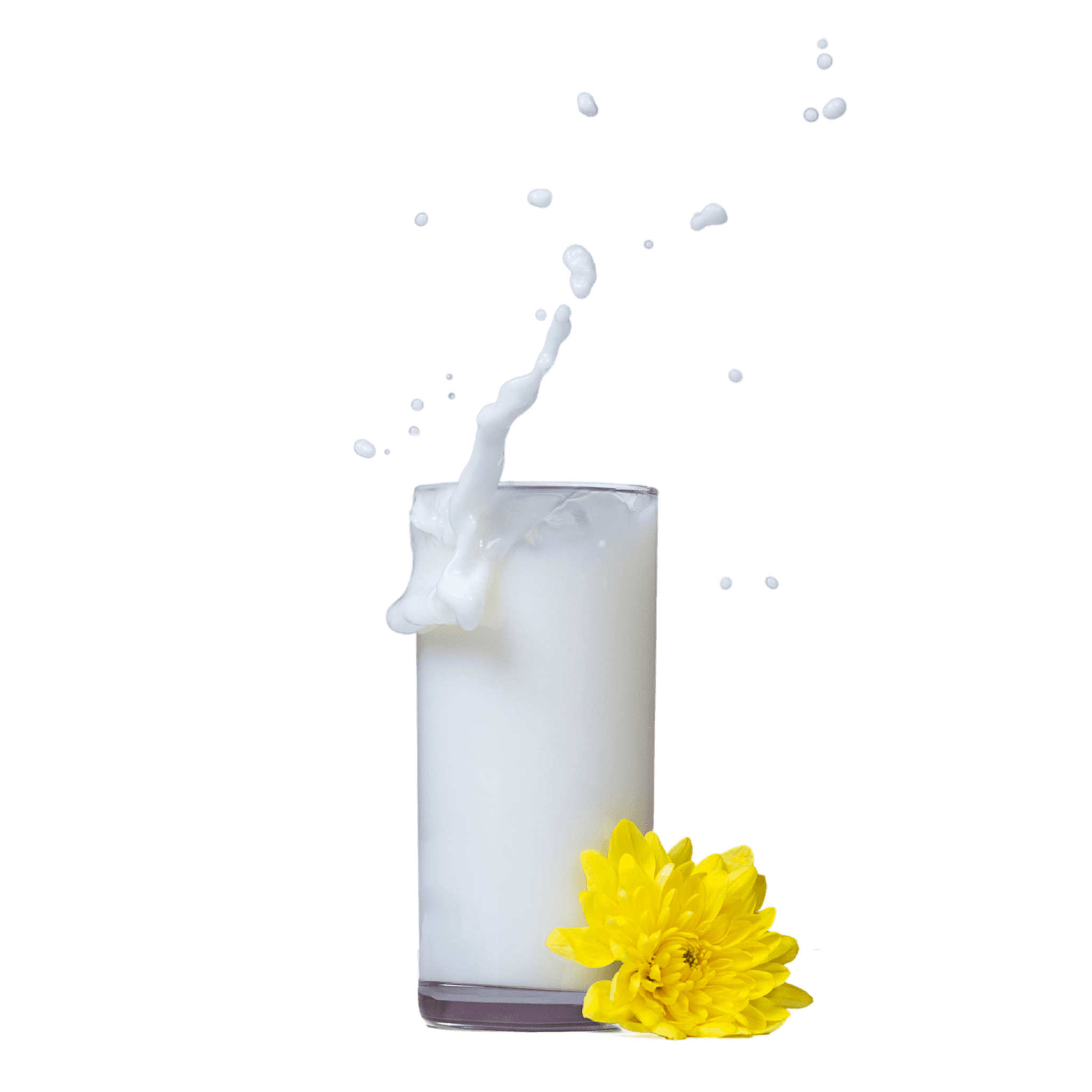 Dairy ERP Enhancements