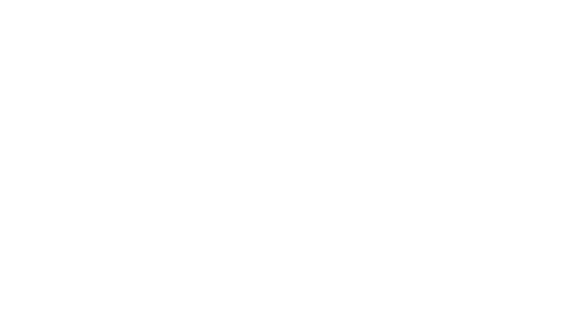 Shopify Logo