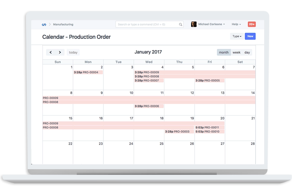 ERP for Capacity Planning